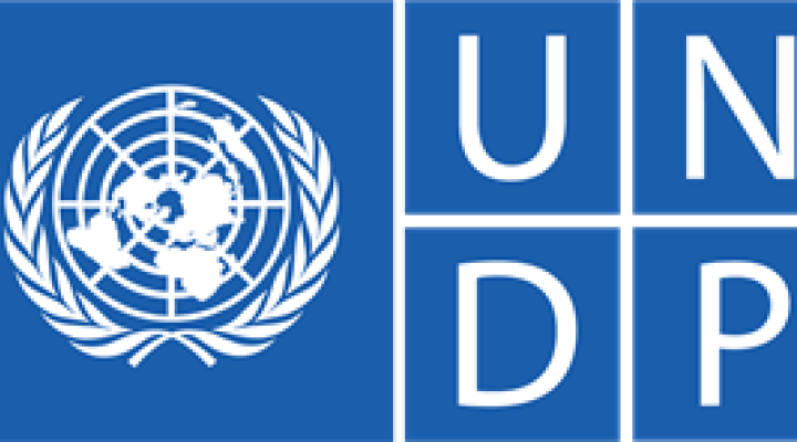 UNDP logo horizontalni